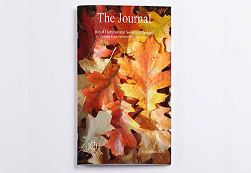 RHSI - September 2015